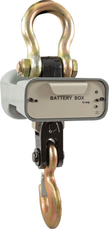 Весы CAS 3 THA(Caston 1) купить по низкой цене | МАКСПРОФИТ