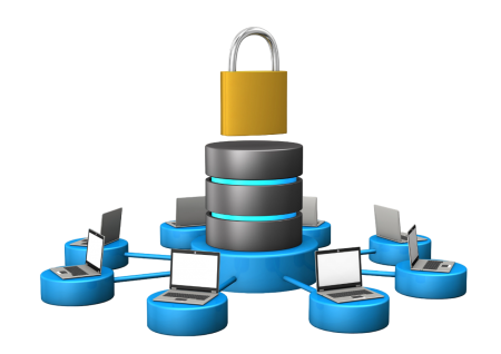 База эталонных рентгенограмм НОВО «ЭТАЛОН – ВГФ» купить по низкой цене | МАКСПРОФИТ